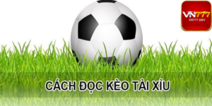 Kèo tài xỉu là gì?